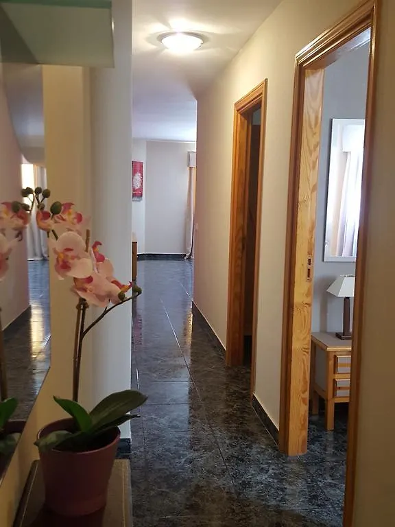 Apartment Apartamentos Dalia Vecindario  Spain